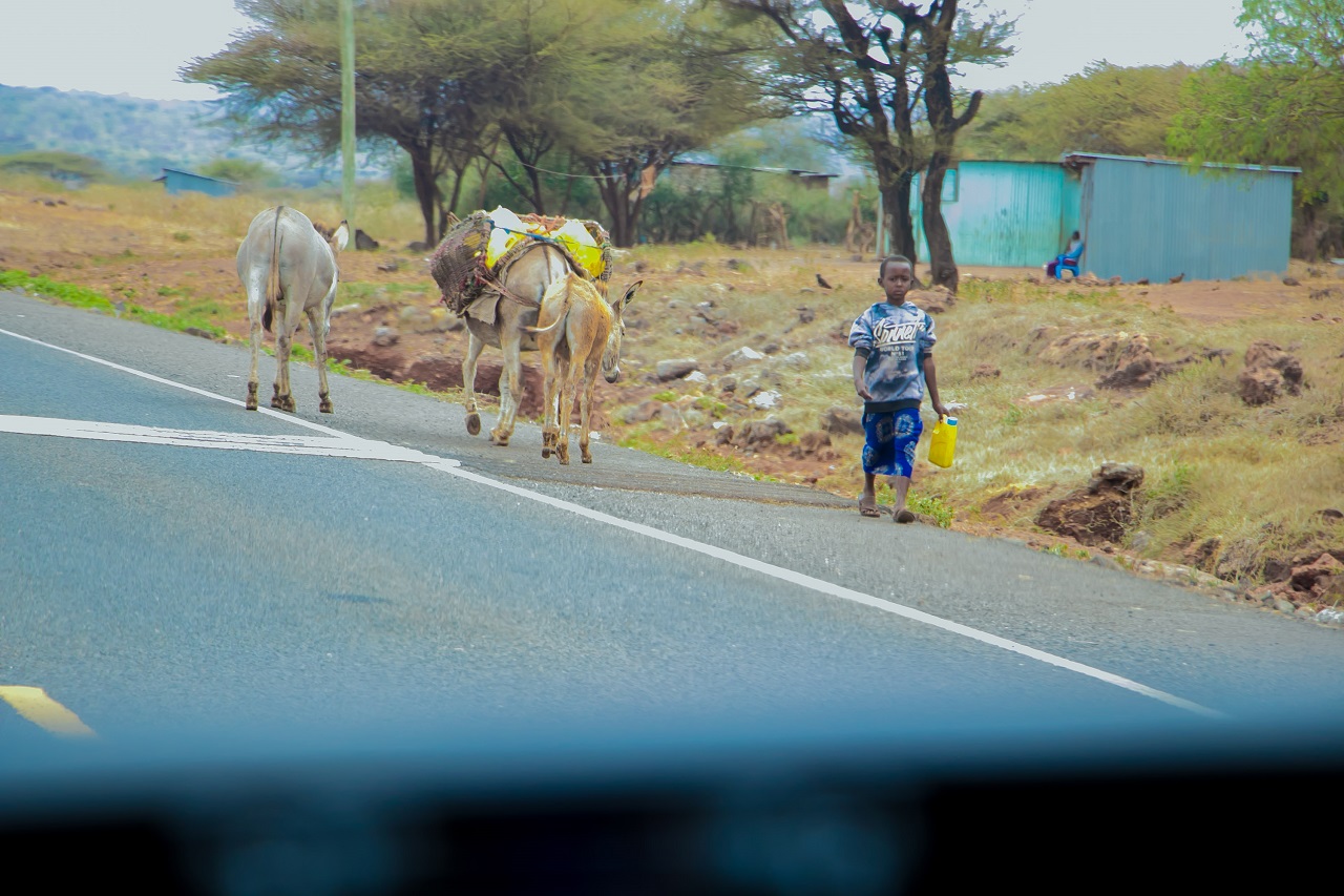 Egerton University Report: Turkana County Has Potential for Mass Production of High-Value Crops