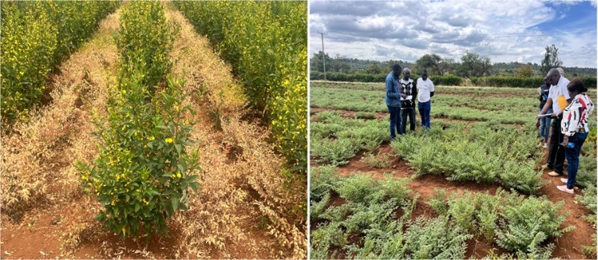 Baringo field Trip
