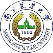 nau